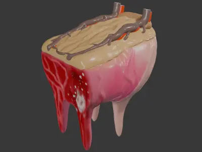 Cow udder 3D model