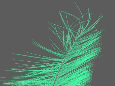 Feather palm leaf Free 3D model