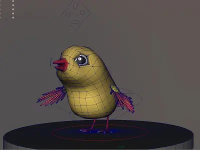 bird animation  Low-poly 3D model