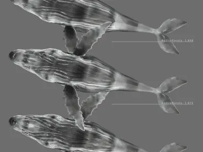 Humpback Whale Low-poly 3D model Low-poly 3D model