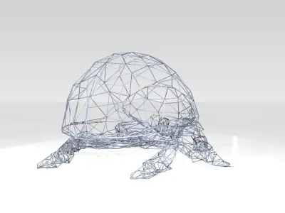 Ladybird Wireframe 3D model