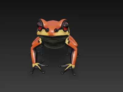 Frog  Poisonous Realistic 3D Model Basic - Low Poly Realistic Low-poly 3D model