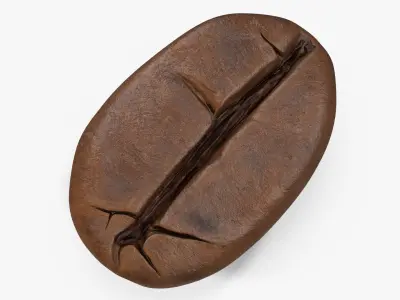 Coffee Bean Roasted 2 v 2 3D model
