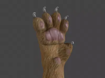 HAND-024 Cat Low-poly 3D model