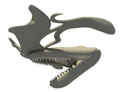 Hammerhead Shark Skull 3D model