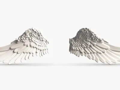 Angel Wings 3D model get
