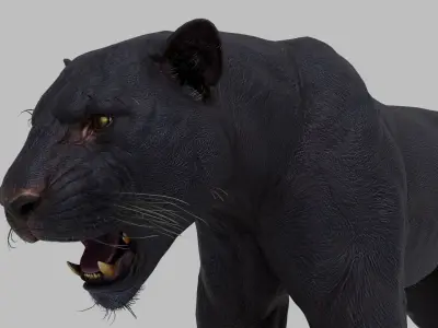 Black Panther Rigged Low-poly 3D model