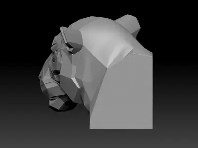 Tiger Head Free 3D model