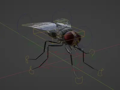 Flies for blender Low-poly 3D model