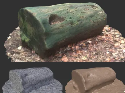 3D sawn of tree part model Low-poly 3D model