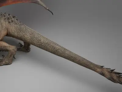 Dragon Adult No Rig 3D model