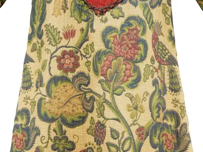 Bird Robe Low-poly 3D model