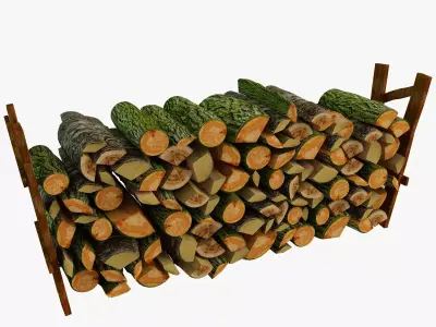 Old Woods Free 3D model