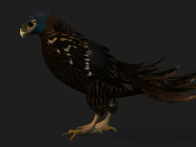 Kestrel B8 Low-poly 3D model