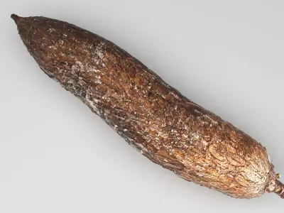 Cassava Manioc 3D model