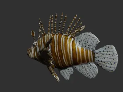 lionfish Low-poly 3D model
