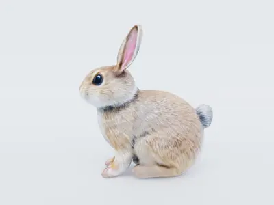 Rabbit Free 3D model