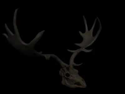 Megaloceros Giganteus or Irish Elk Skull Free low-poly 3D model