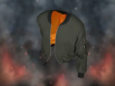 Bomber Jacket 3D model