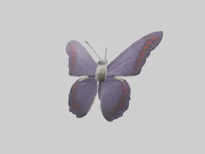 Butterfly Model 1 Low-poly 3D model
