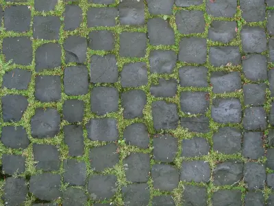 defwffwf cobblestones with moss 3D model