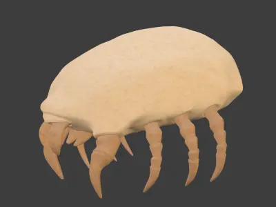 Dust Mite Low-poly 3D model