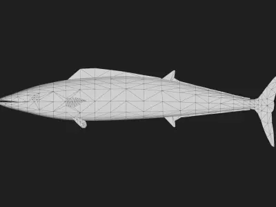 Wahoo Low-poly 3D model