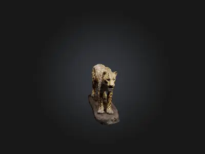 Realistic Wounded Leopard Model Low-poly 3D model