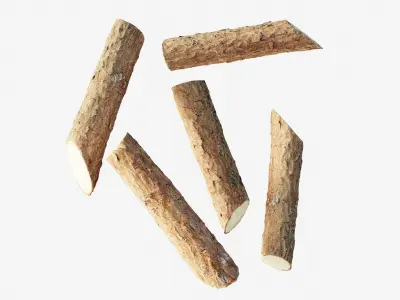 Scanned coniferous firewood Low-poly 3D model