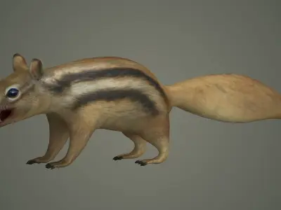 squirrel cute animal mammal wildlife little hamster marmot 3D model