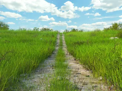 Path Meadow Landscape 3D model