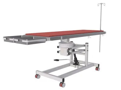 Veterinary Table 3D model
