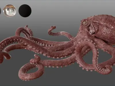  giant pacific octopus Low-poly 3D model