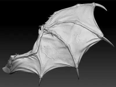Demon Wings high poly  3D model
