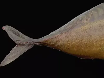 Fire Grilled Fish Low-poly 3D model