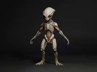 Arnold the Alien 3D model