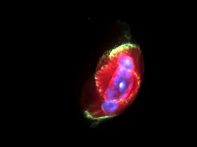 Cat Eye Nebula 3D model