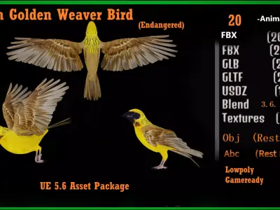 Asian Golden Weaver Bird Low-poly 3D model