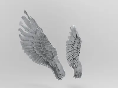 Wings Side angel 3D model