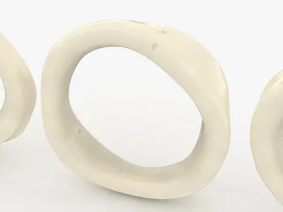 Squid Ring 3D model