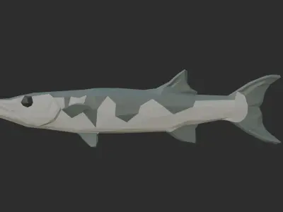 Low Poly Pacific Barracuda Low-poly 3D model