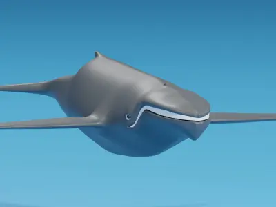 Cartoon Whale 3D model