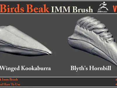 40 Birds Beak IMM Brush - Video How To Use 3D model