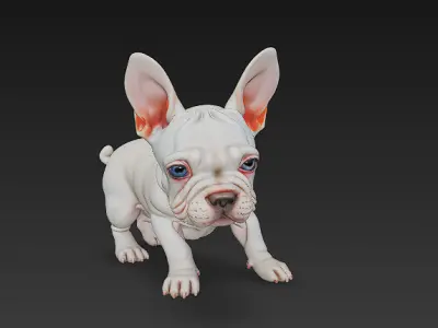 French Bulldog Puppy Dog Realistic 3D Model - Low Poly Realistic Low-poly 3D model