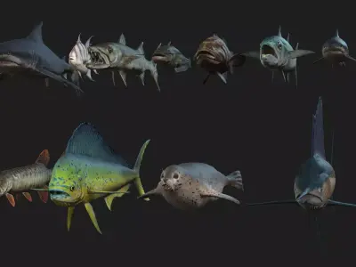 Rigged Low Poly Underwater Fish Collection 3D Models Low-poly 3D model