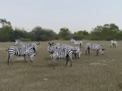 Zebra donkey Low-poly 3D model