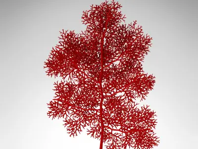 XfrogPlants Giant Sea Fan 3D model