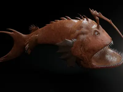 AnglerFish Low-poly 3D model