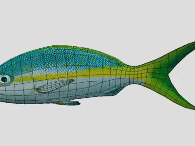 Yellow Snapper Low-poly 3D model