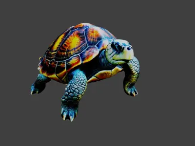 Turtle - Tortoise Animal Low-poly 3D model